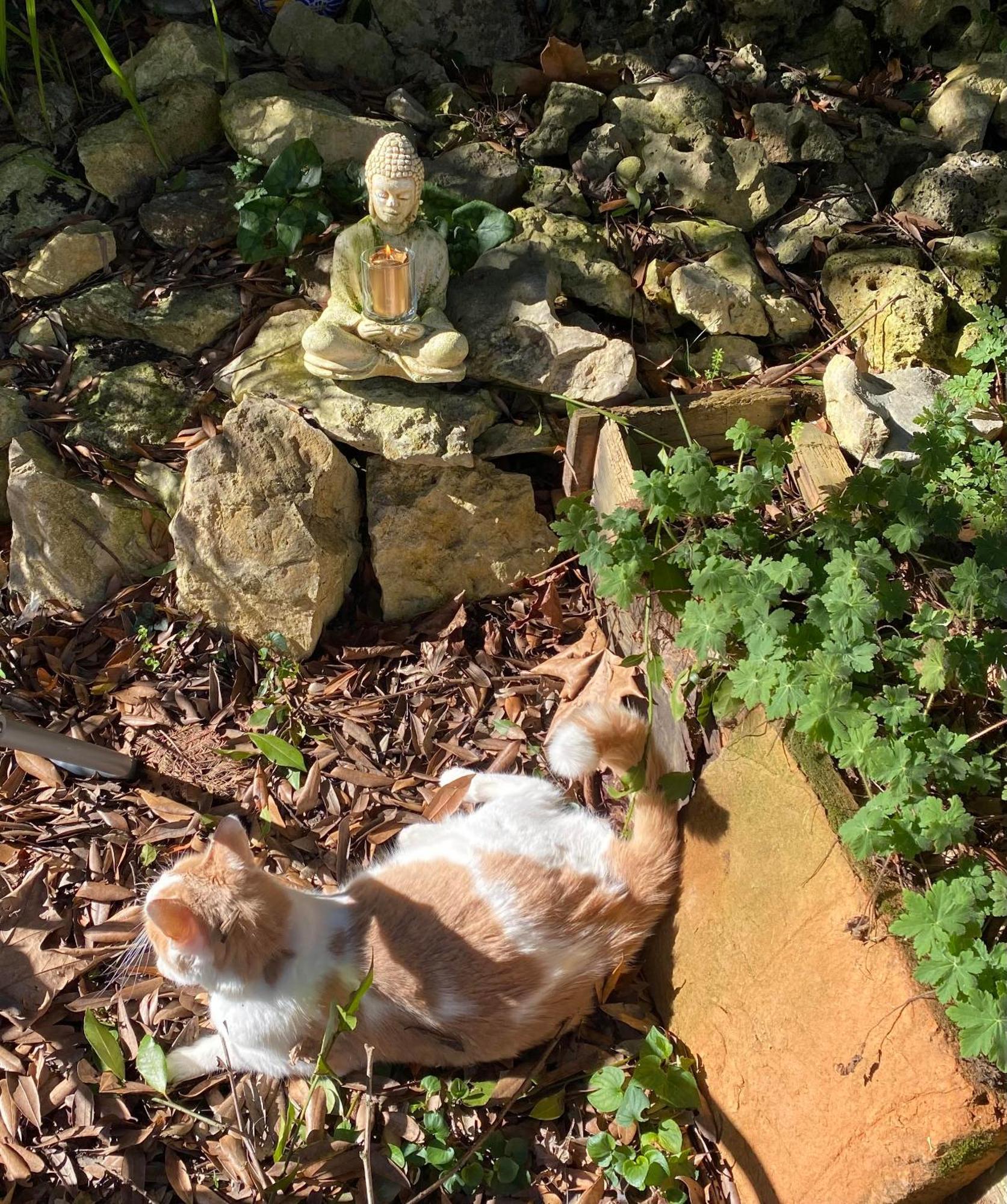 モアサック Au Jardin Bed & Breakfast エクステリア 写真